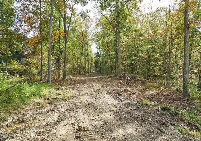 5th image of 6697 Boneta Rd, Medina, OH 44256 | MLS# 5161212