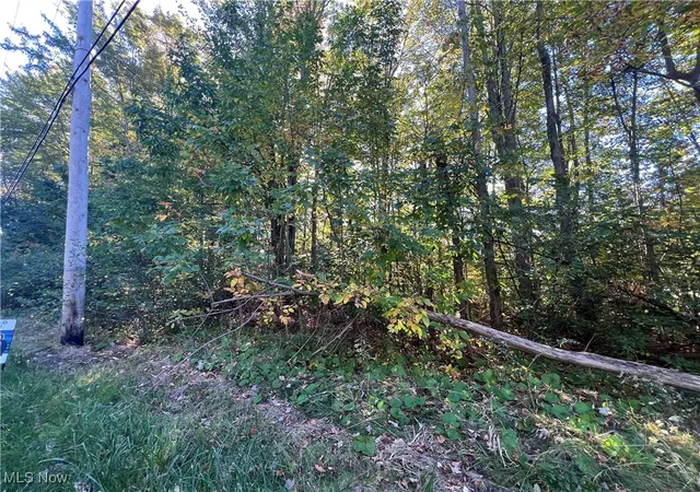 20th image of 8625 Bainbridge Rd, Chagrin Falls, OH 44023 | MLS# 5161830
