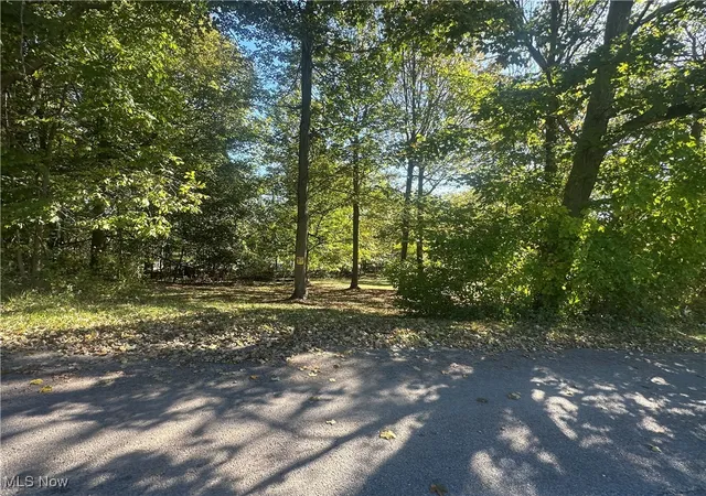 2nd image of Fairmont Ave, Barnesville, OH 43713 | MLS# 5163774