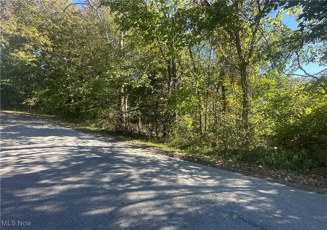 3rd image of Fairmont Ave, Barnesville, OH 43713 | MLS# 5163774