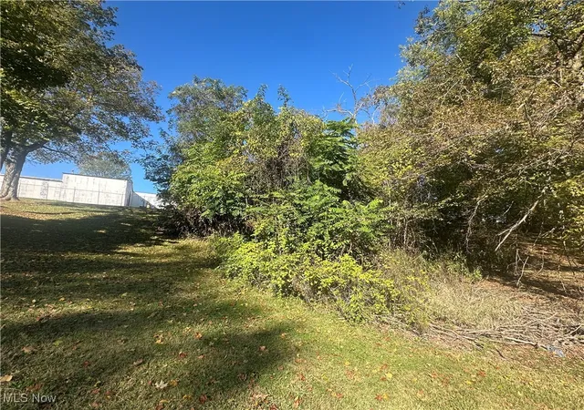 4th image of Fairmont Ave, Barnesville, OH 43713 | MLS# 5163774