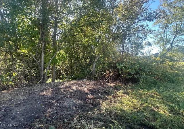 2nd image of Fairmont St, Barnesville, OH 43713 | MLS# 5163784