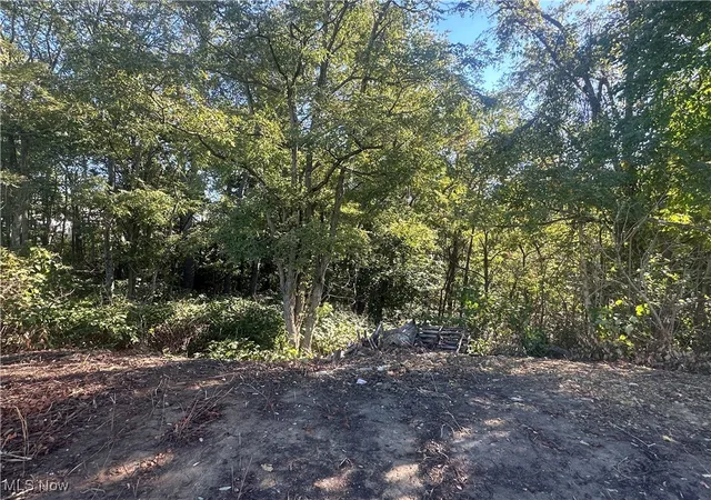 4th image of Fairmont St, Barnesville, OH 43713 | MLS# 5163784