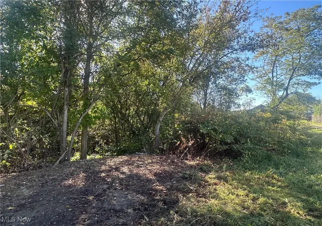 5th image of Fairmont St, Barnesville, OH 43713 | MLS# 5163784