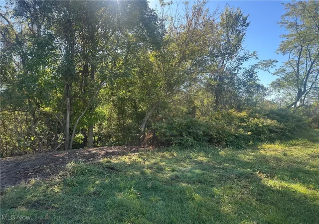 6th image of Fairmont St, Barnesville, OH 43713 | MLS# 5163784