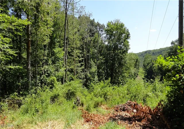 Photo 2 of Land for sale at Tbd Glendale Rd, New Cumberland, WV 26047 | MLS# 5165685 | Listing updated on 2026-08-12