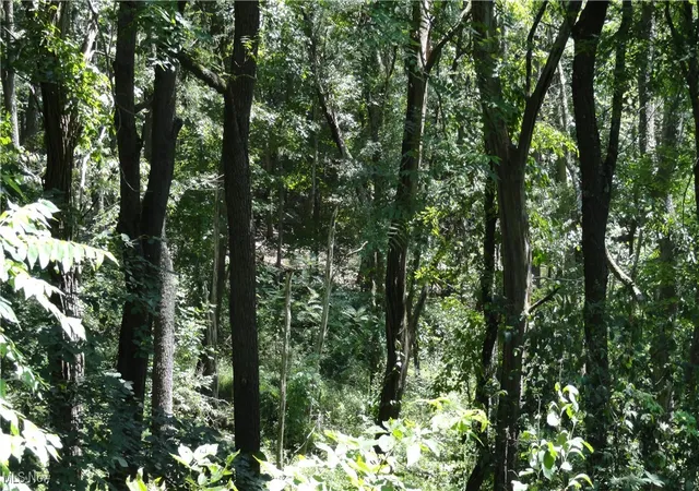 Photo 3 of Land for sale at Tbd Glendale Rd, New Cumberland, WV 26047 | MLS# 5165685 | Listing updated on 2026-08-12