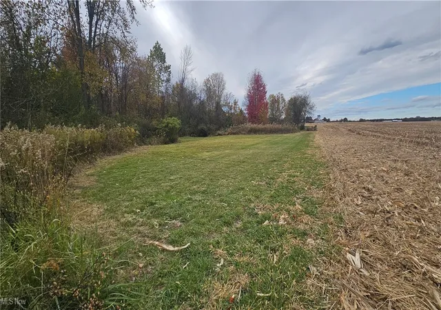 Homes for sale in Wellington, OH | V/L State Route 18, Wellington, OH 44090 | MLS# 5167852