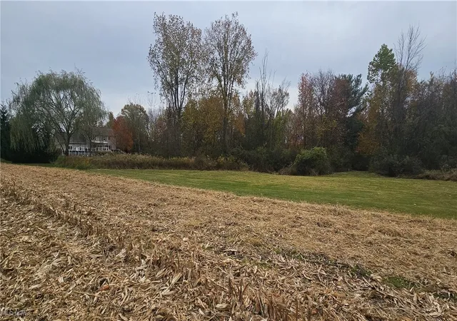 Homes for sale in Wellington, OH | V/L State Route 18, Wellington, OH 44090 | MLS# 5167852