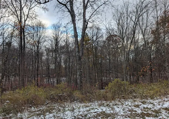 3rd image of Greenwich Rd, Lodi, OH 44254 | MLS# 5170888