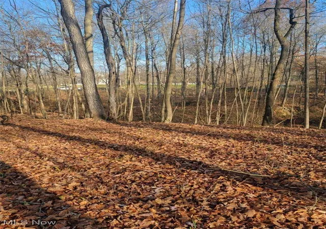 5th image of Greenwich Rd, Lodi, OH 44254 | MLS# 5170888