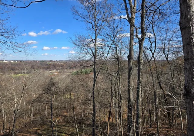 5th image of Echo Hill Rd, Malta, OH 43758 | MLS# 5172518