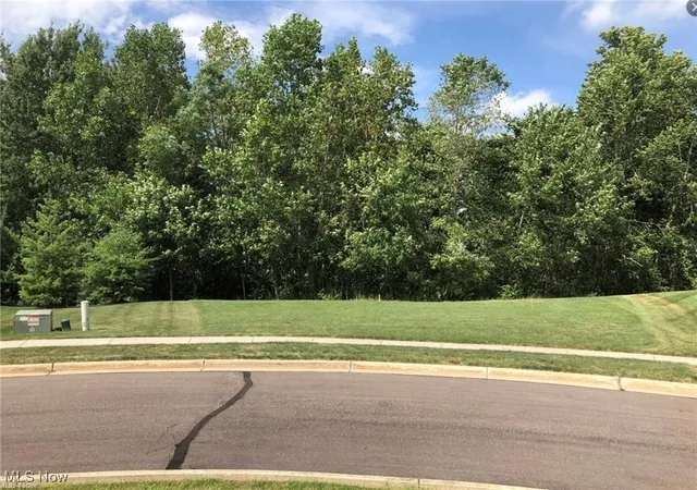 Homes for sale in Streetsboro, OH | 1612 Mids Ct, Streetsboro, OH 44241 | MLS# 5172978