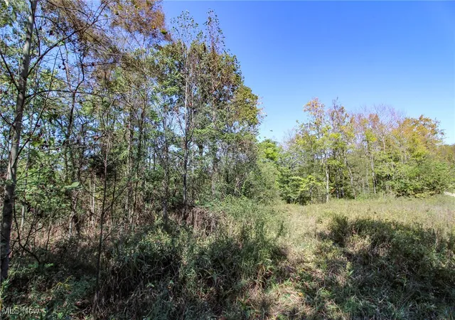 Homes for sale in Marietta, OH | Lot 3 Moss Run Rd, Marietta, OH 45750 | MLS# 5173922