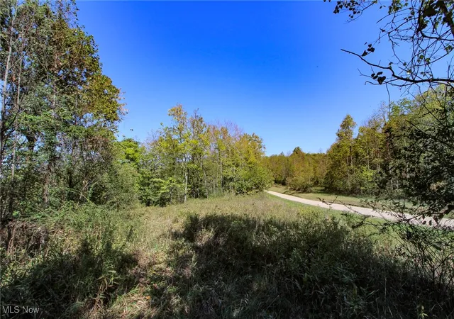 Homes for sale in Marietta, OH | Lot 3 Moss Run Rd, Marietta, OH 45750 | MLS# 5173922