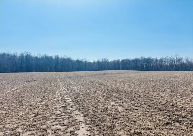 12th image of Plymouth Gageville Rd, Sheffield, OH 44004 | MLS# 5174776