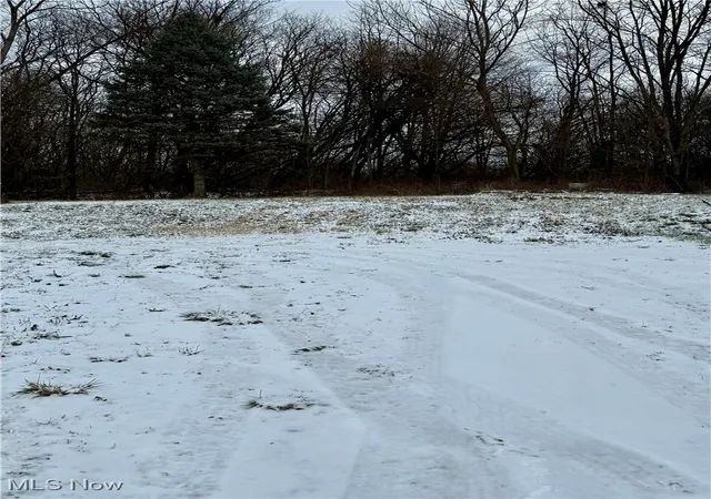 10th image of 3028 Dearborn St, Youngstown, OH 44510 | MLS# 5177221