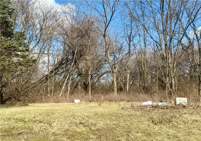 2nd image of 3028 Dearborn St, Youngstown, OH 44510 | MLS# 5177221