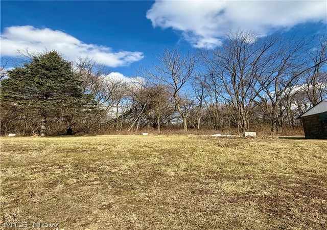 3rd image of 3028 Dearborn St, Youngstown, OH 44510 | MLS# 5177221