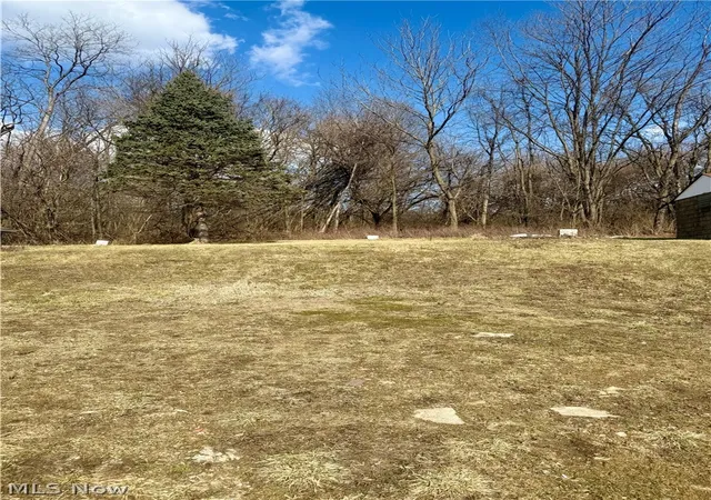 4th image of 3028 Dearborn St, Youngstown, OH 44510 | MLS# 5177221
