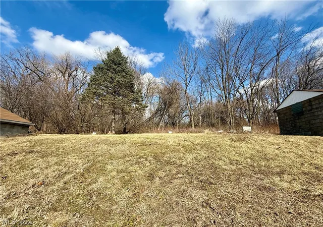 5th image of 3028 Dearborn St, Youngstown, OH 44510 | MLS# 5177221
