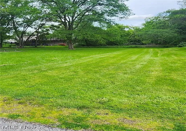 Homes for sale in Wintersville, OH | Walnut St, Wintersville, OH 43953 | MLS# 5178099