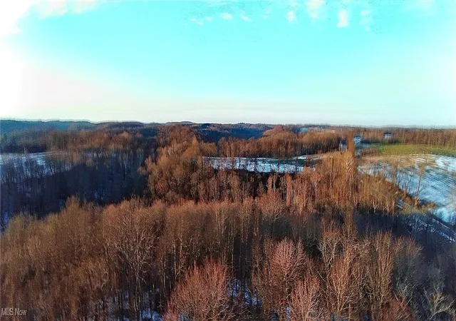 Homes for sale in Salineville, OH | Township Rd 164, Salineville, OH 43945 | MLS# 5178191