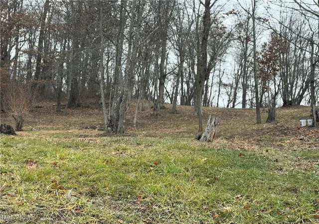 Photo 3 of Land for sale at 47084 Sidehill Rd, East Liverpool, OH 43920 | MLS# 5178774 | Listing updated on 2026-06-26