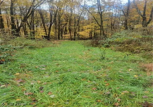 1st image of Schaen Dr, Andover, OH 44003 | MLS# 5179307