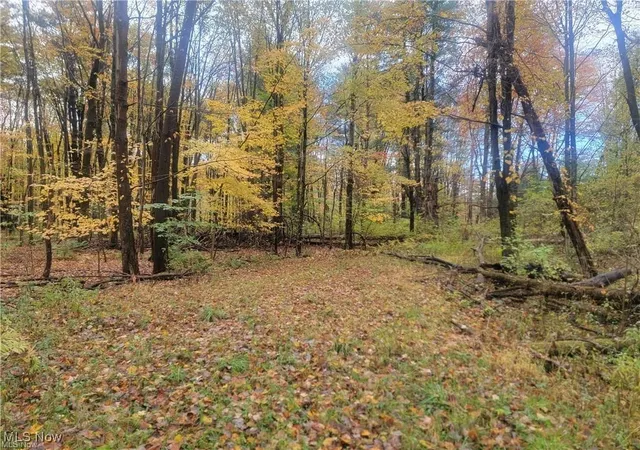 2nd image of Schaen Dr, Andover, OH 44003 | MLS# 5179307