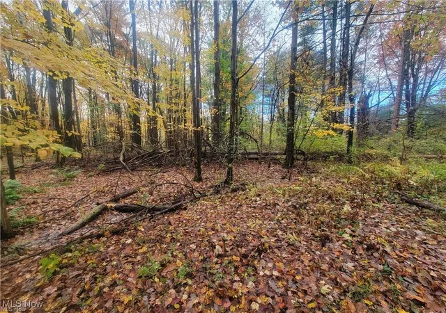 4th image of Schaen Dr, Andover, OH 44003 | MLS# 5179307