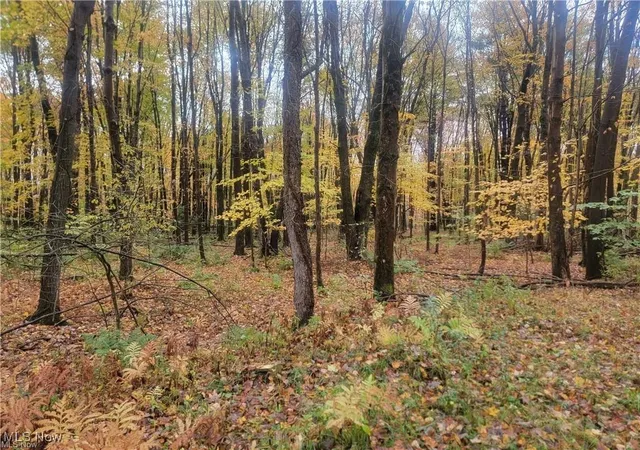 5th image of Schaen Dr, Andover, OH 44003 | MLS# 5179307