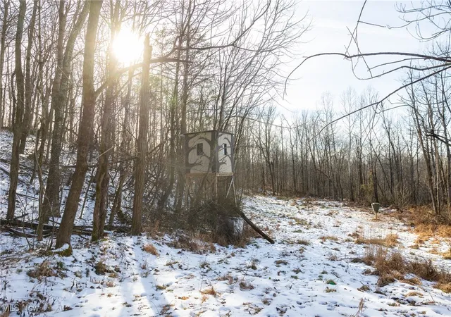 Homes for sale in New Matamoras, OH | County Road 9, New Matamoras, OH 45767 | MLS# 5180254