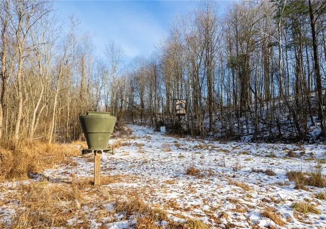 Homes for sale in New Matamoras, OH | County Road 9, New Matamoras, OH 45767 | MLS# 5180254