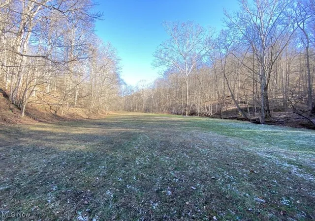 Homes for sale in Gandeeville, WV | 88 Ivy Rd, Gandeeville, WV 25243 | MLS# 5181548