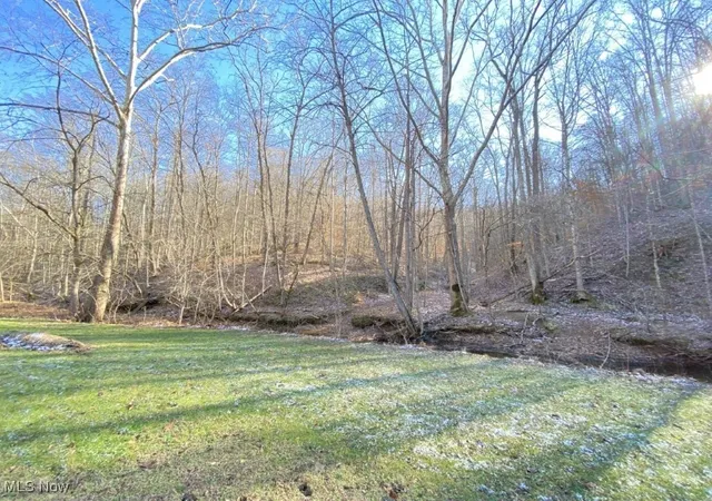 Homes for sale in Gandeeville, WV | 88 Ivy Rd, Gandeeville, WV 25243 | MLS# 5181548