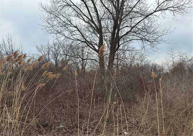 3rd image of V/L Appaloosa Trl, Madison, OH 44057 | MLS# 5181767