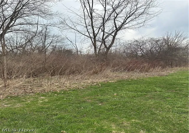 4th image of V/L Appaloosa Trl, Madison, OH 44057 | MLS# 5181767