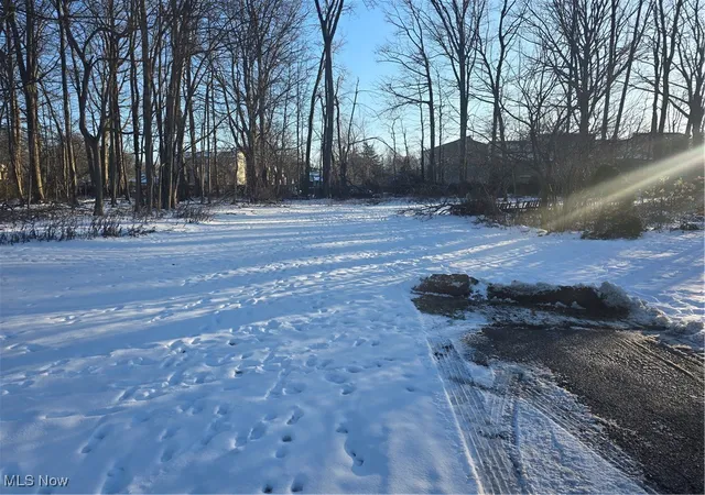 Photo 1 of Land for sale at Vl#1 Oak St, Willoughby, OH 44094 | MLS# 5182974 | Listing updated on 2026-08-31