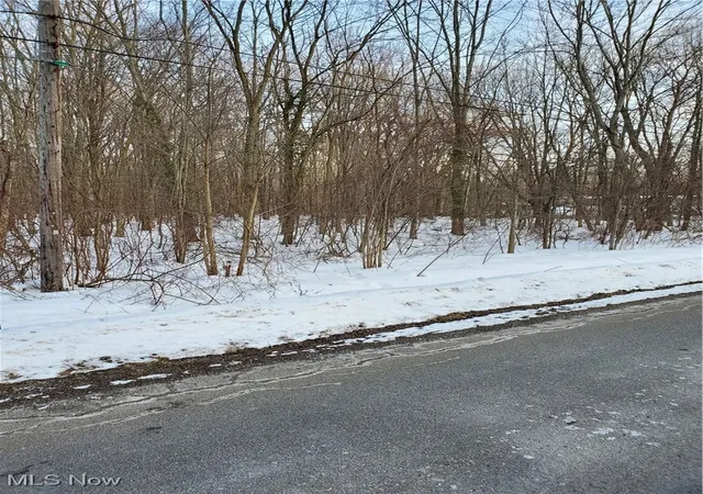 3rd image of Walter Main Rd, Geneva, OH 44041 | MLS# 5181067