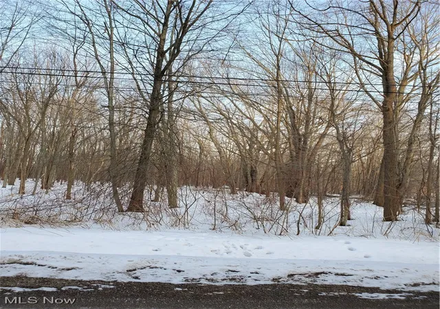 4th image of Walter Main Rd, Geneva, OH 44041 | MLS# 5181067
