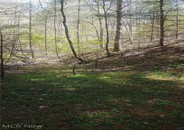 Photo 16 of Land for sale at 18344 Modoc Rd, Glouster, OH 45732 | MLS# 5183911 | Listing updated on 2026-07-27