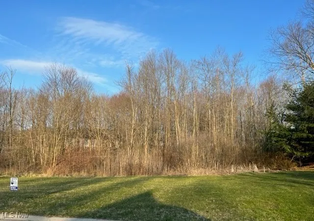 1st image of Birchmont Ave Sw, Canton, OH 44706 | MLS# 5185117