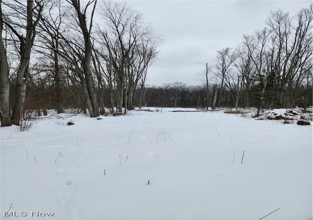 1st image of Royalton Rd, Columbia Station, OH 44028 | MLS# 5184885