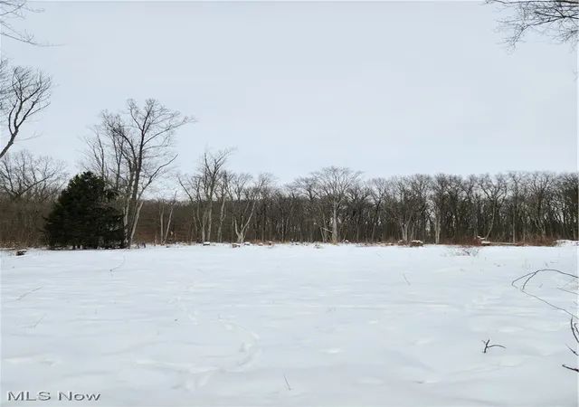 3rd image of Royalton Rd, Columbia Station, OH 44028 | MLS# 5184885