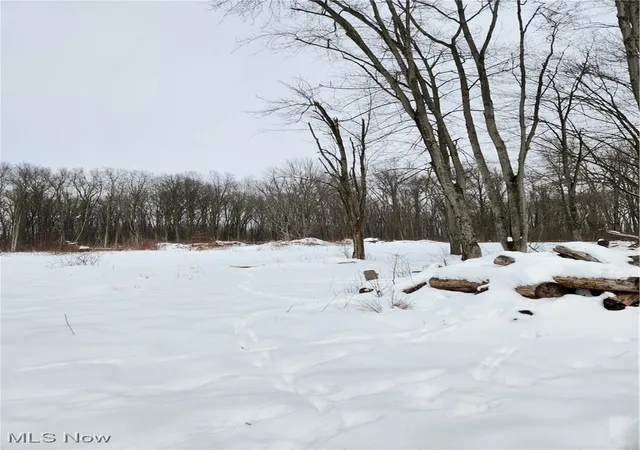 4th image of Royalton Rd, Columbia Station, OH 44028 | MLS# 5184885