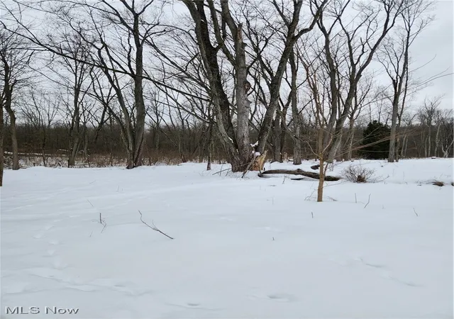 5th image of Royalton Rd, Columbia Station, OH 44028 | MLS# 5184885