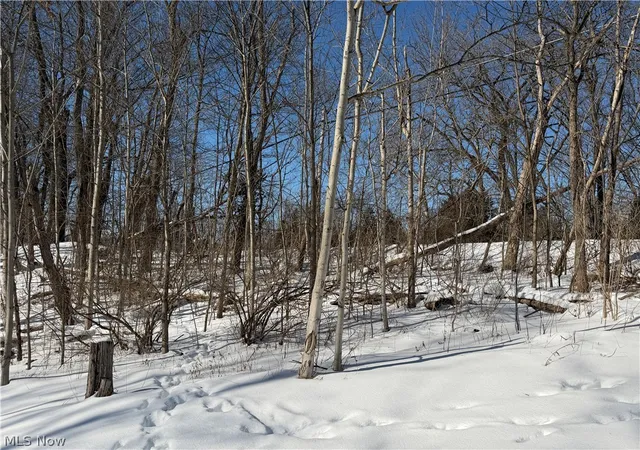 Homes for sale in Medina, OH | Old Weymouth Rd, Medina, OH 44256 | MLS# 5185802
