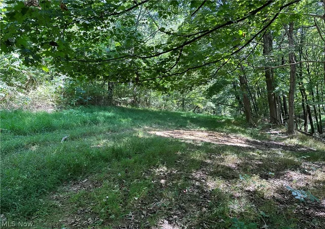 Photo 3 of Single family home for sale at 8292 State Route 60, Lowell, OH 45744 | MLS# 5187068 | Listing updated on 2026-09-22