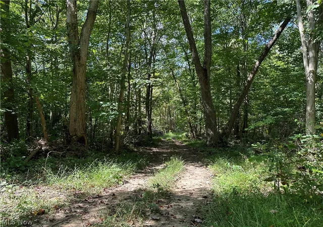 Photo 4 of Single family home for sale at 8292 State Route 60, Lowell, OH 45744 | MLS# 5187068 | Listing updated on 2026-09-22